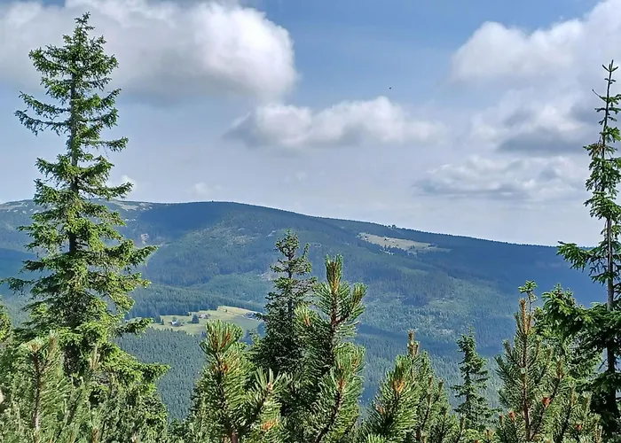 度假居 Charming Mountain & Wellness By Interhome Horní Maršov